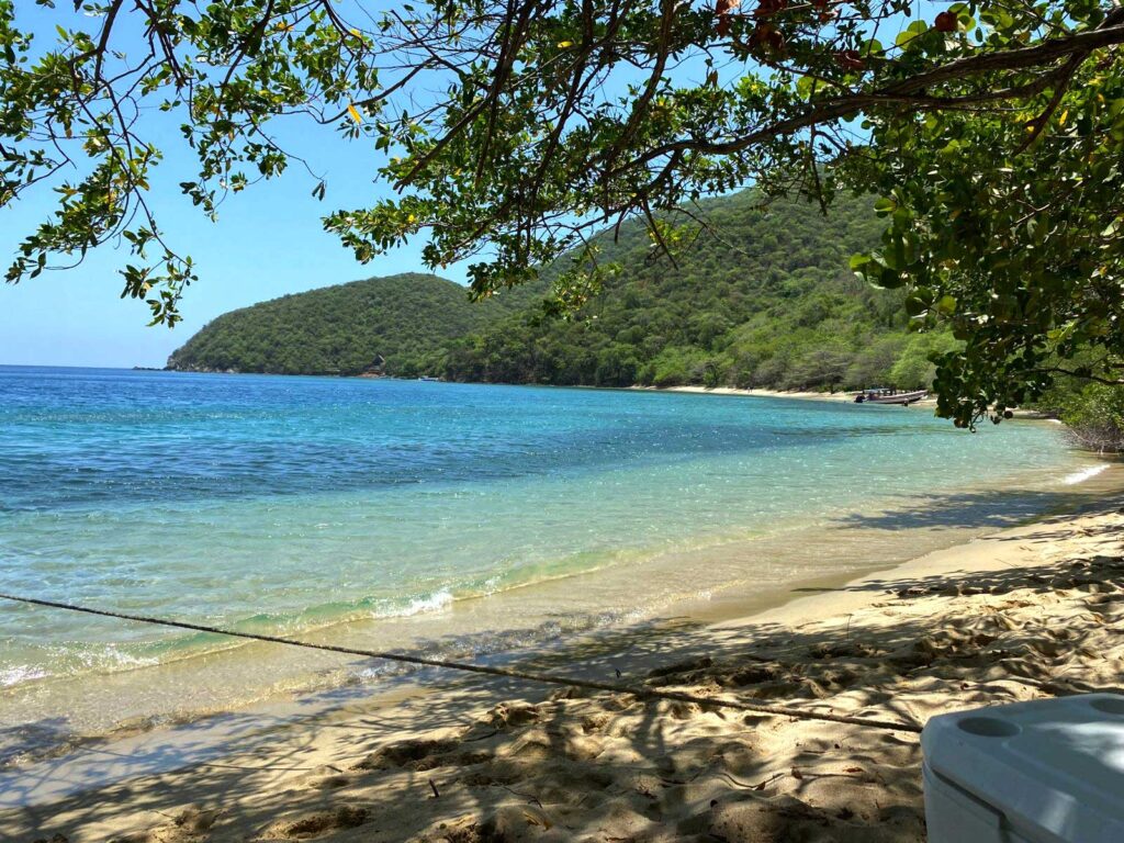 Secluded Playa Cinto beach in Tayrona National Park, Colombia, with crystal-clear turquoise water, golden sand, and lush green hills, framed by tree branches.